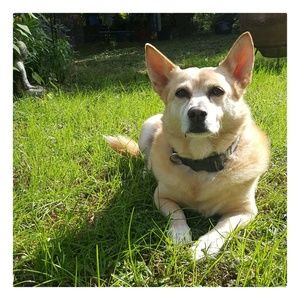 Meet your Posher, Sheila